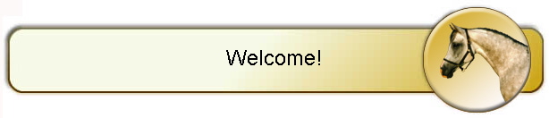Welcome!